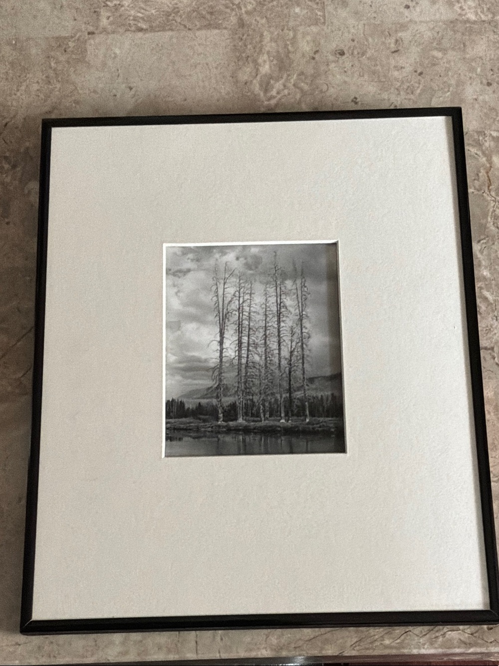 Black Framed Black & White Tree Photo Print Martin Neunzert